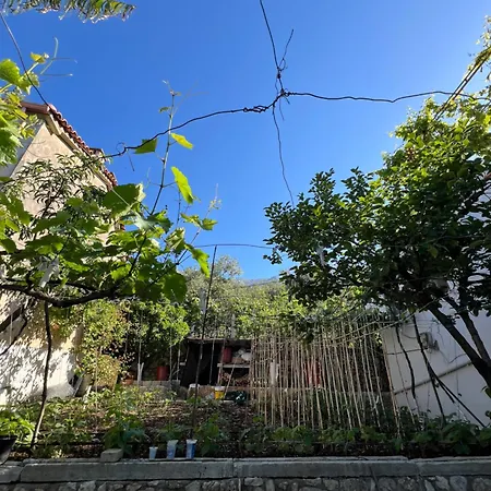 Apartament Papreos Studio Gjilek